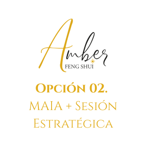 Opción 02. MAIA + Sesión Estratégica